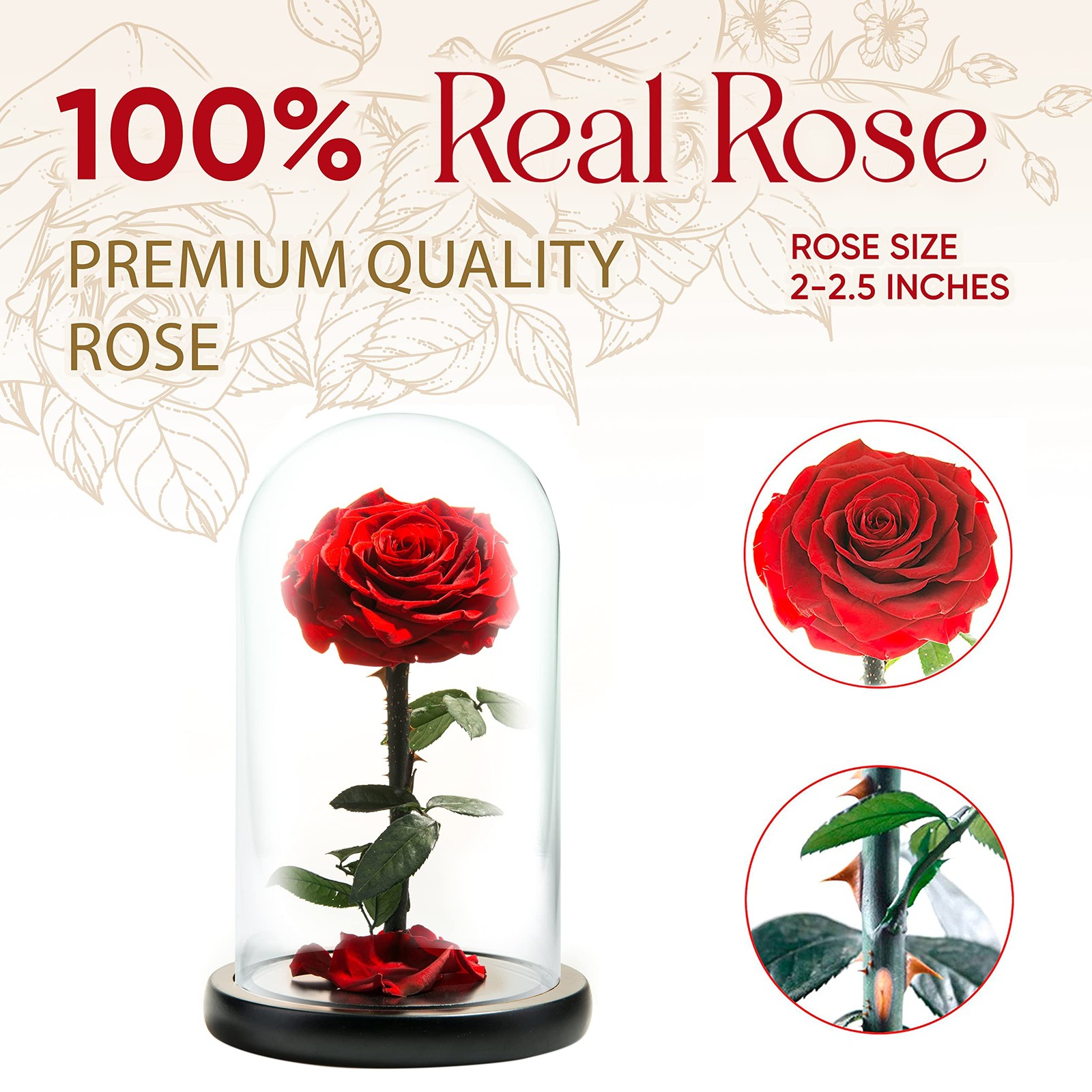 LOVAPPY Forever Preserved Rose – Eternal in Glass Dome – Medium, Red