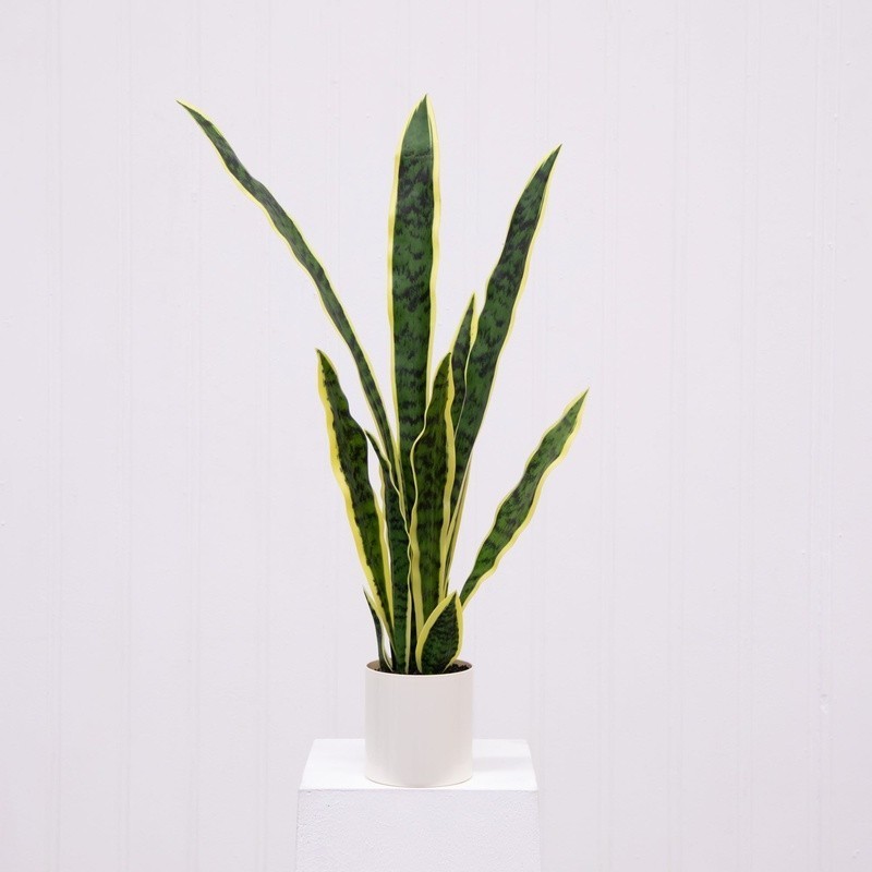 30in Artificial Snake Plant Vanilla Planter Indoor Decor No Maintenance New