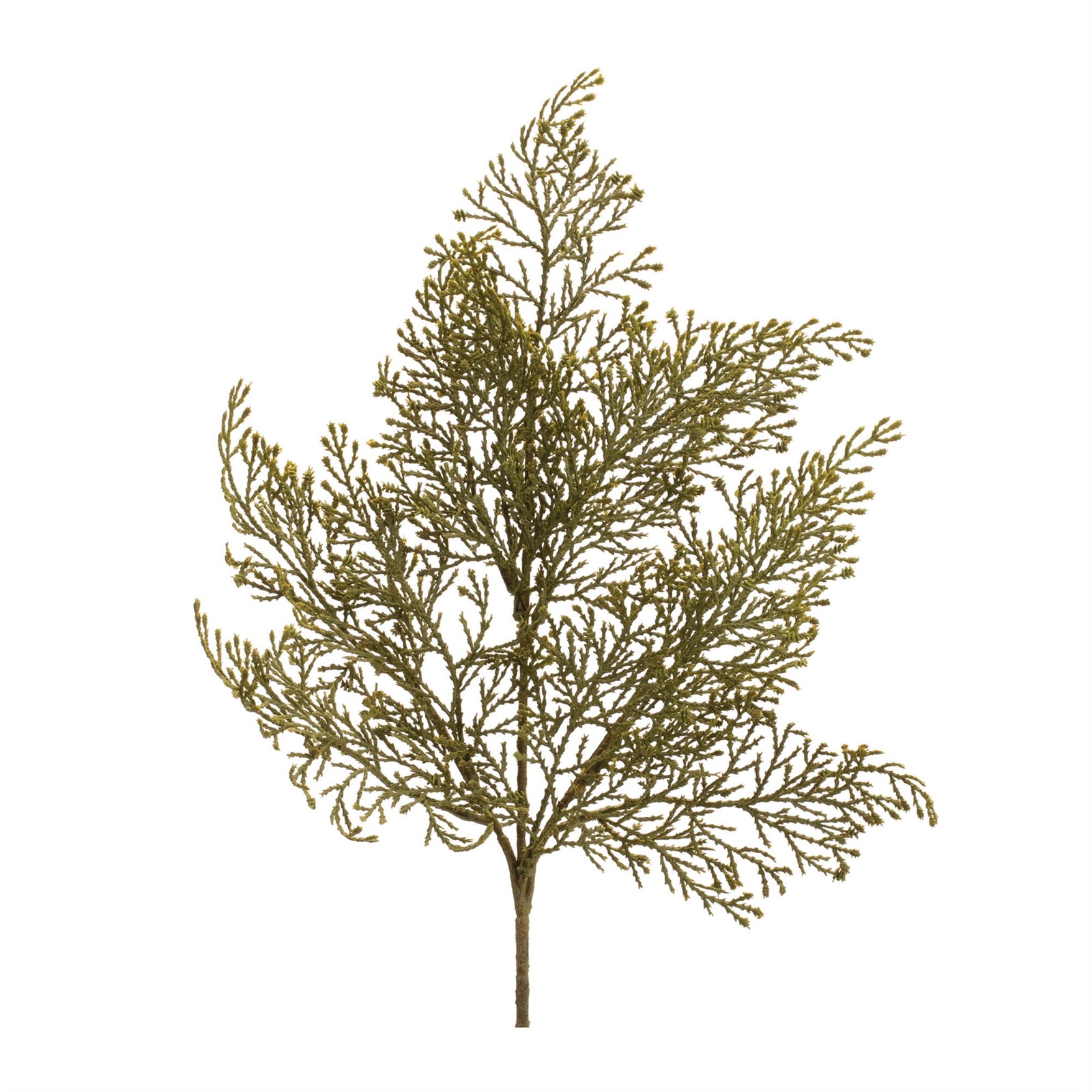 Cedar Spray (Set of 6)