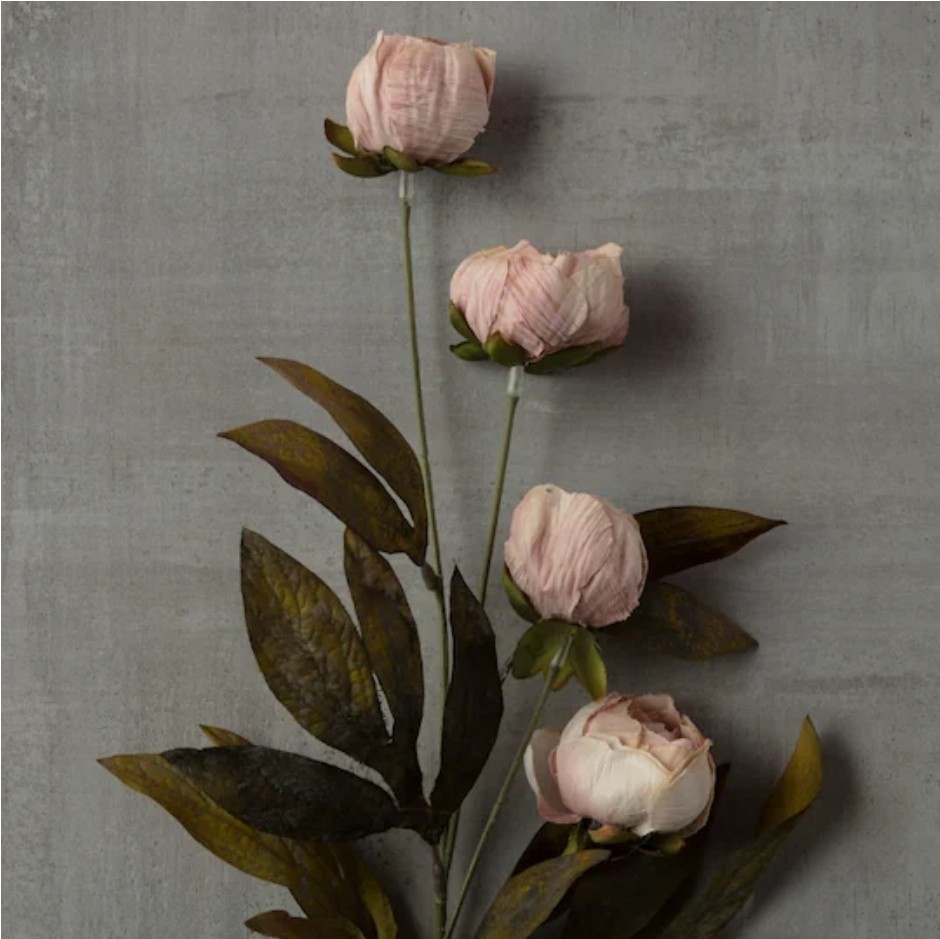 🔥 New in Box 8 Ashland Tan Peony 28″ Stems Michael’s Store VIRAL RARE!