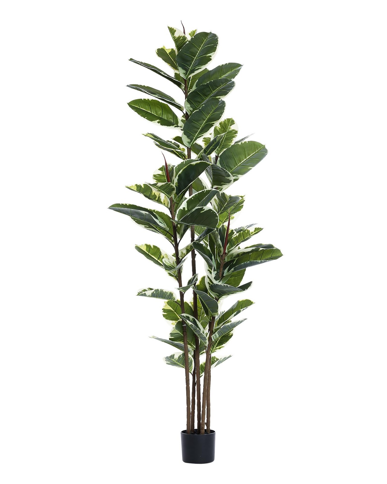 Artificial Rubber Tree Plant 6ft Tall Faux Ficus Tree Potted Fake Tropical Pl…