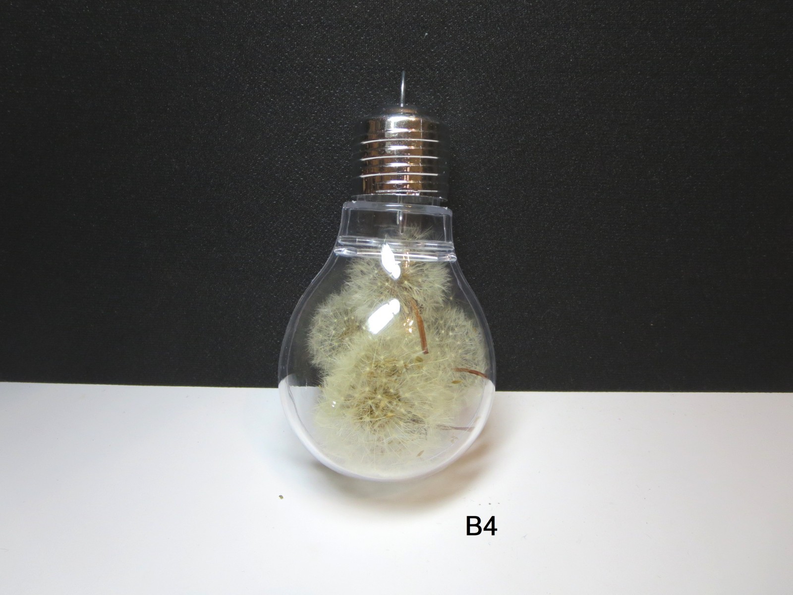 Dandelionins jar Dandelions decor dried flower heart shape Dandelions decor