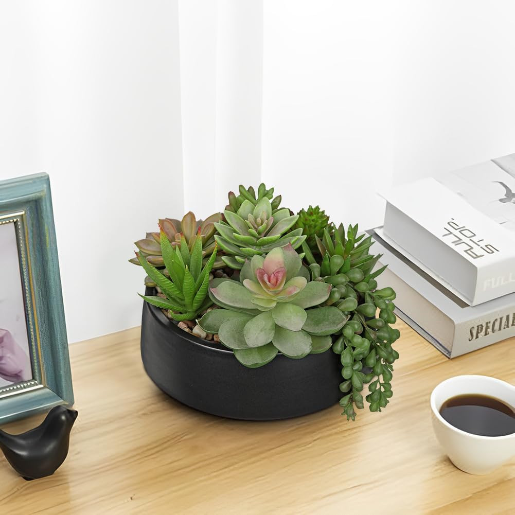 Artificial Succulent Plants in Pot 5.5 Inch Fake Succulents Arrangement Potted P