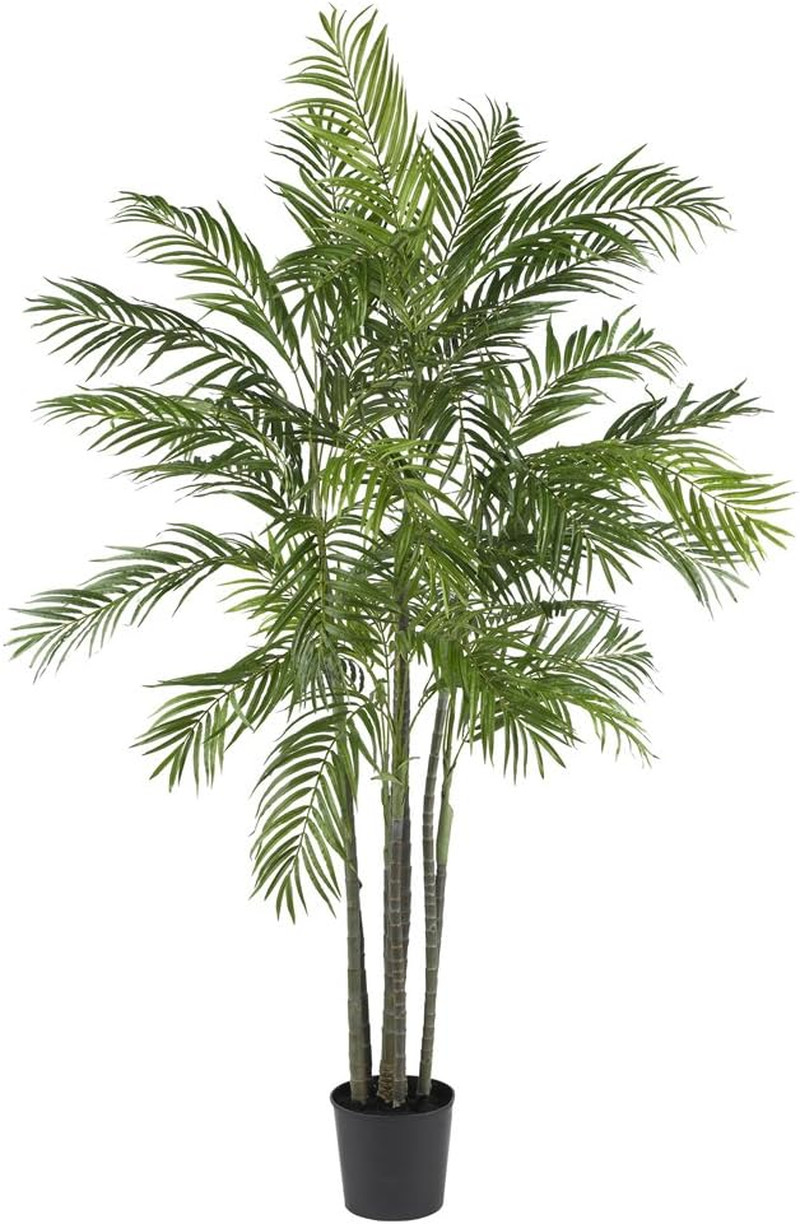 6Ft. Areca Palm Silk Tree