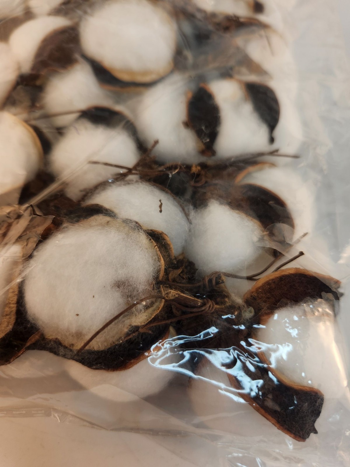 Faux Cotton Pods Dried Natural Husks Craft Supply Pack Of 12 For Wreaths & Flora