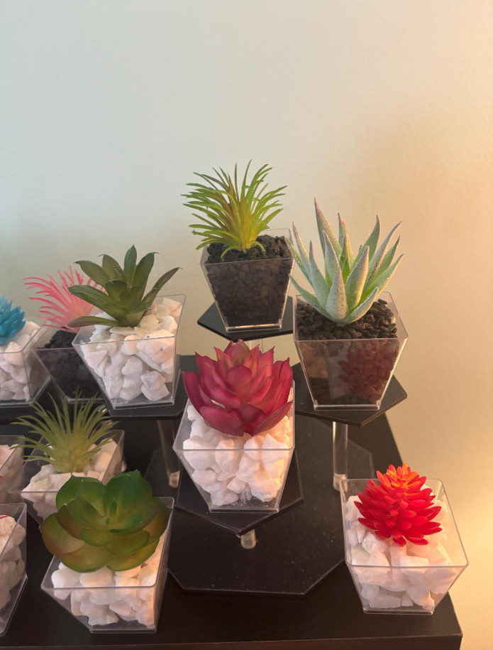 Assorted Faux Succulent Plant 10 pc Set – Artificial / Fake Realistic Indoor