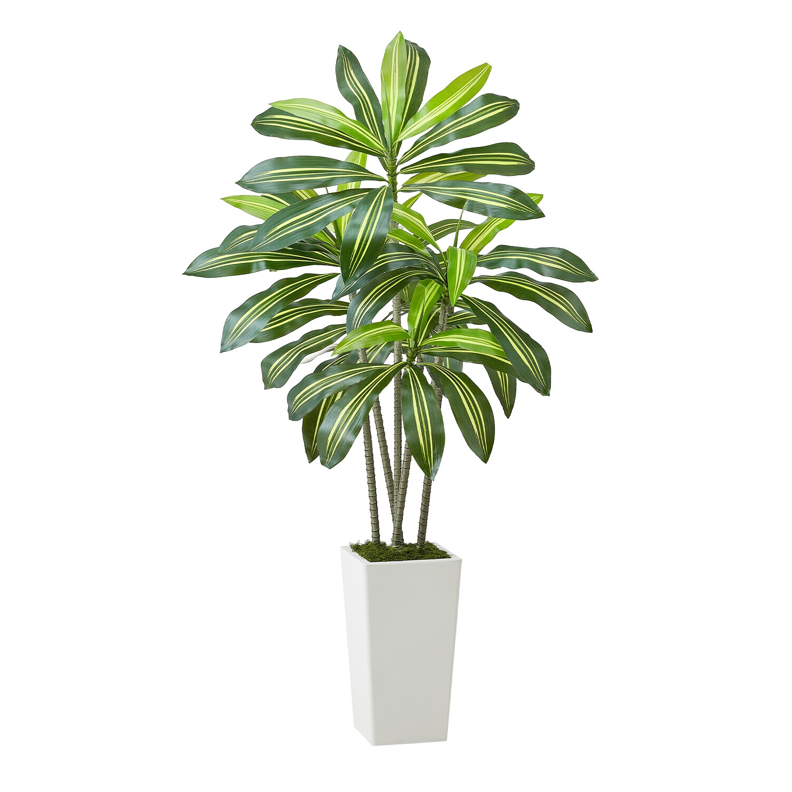 Uimoso 5ft Faux Dracaena Tree with White Pot for Indoor Spaces