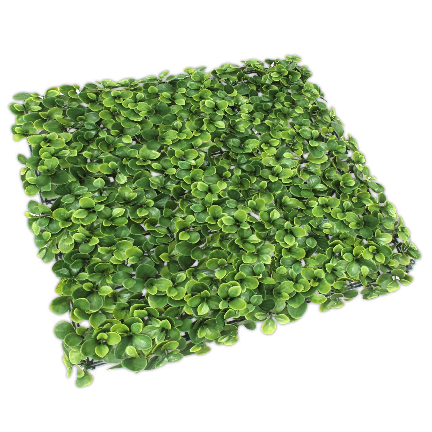 20″x20″ Artificial Faux Greenery Lechuguilla Leaf Fence Screen Wall Decor Panel