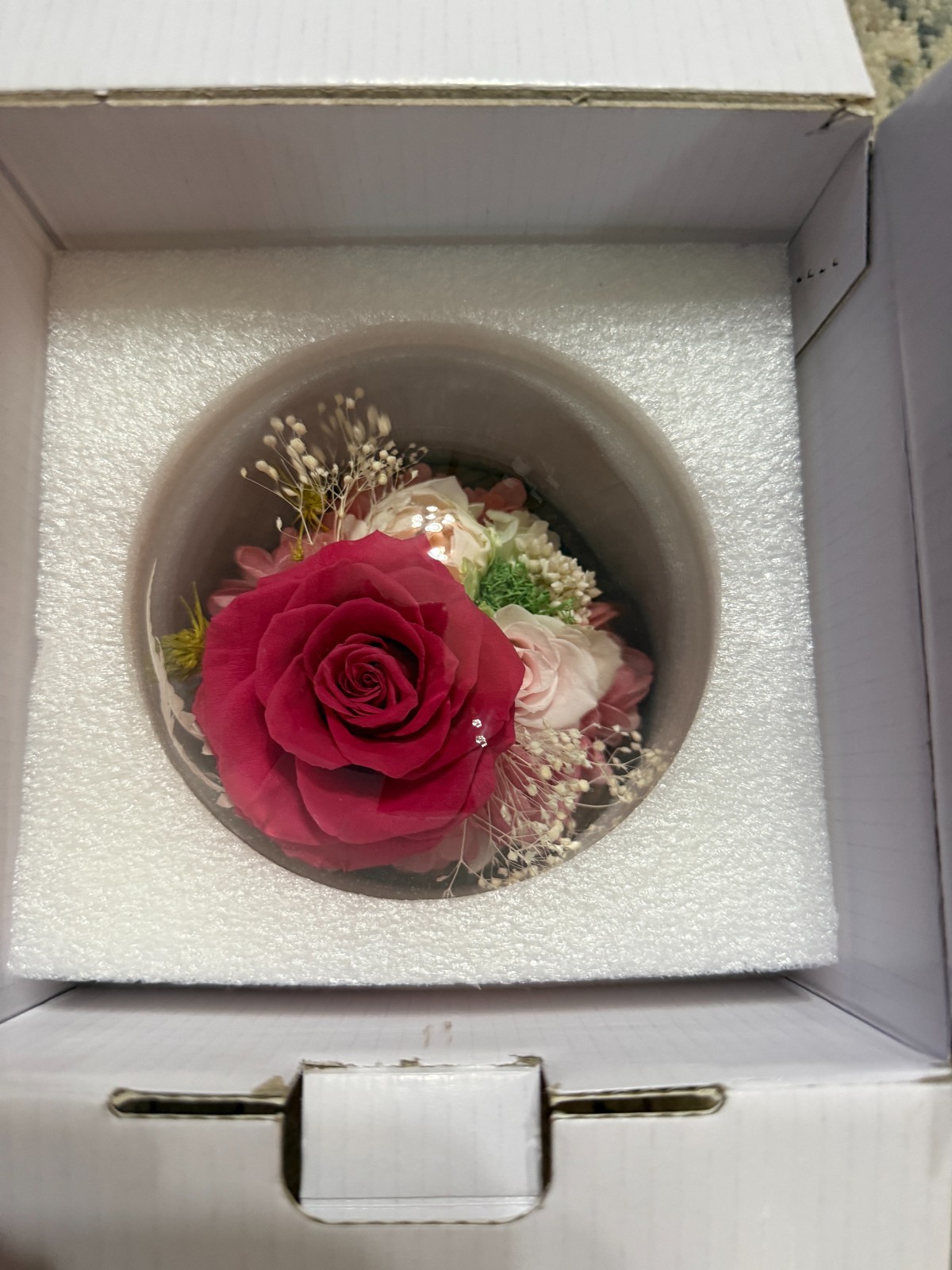 PRESERVED PINK AND RED ROSES IN A LED GLASS LIT DOME W/ORGINAL BOX