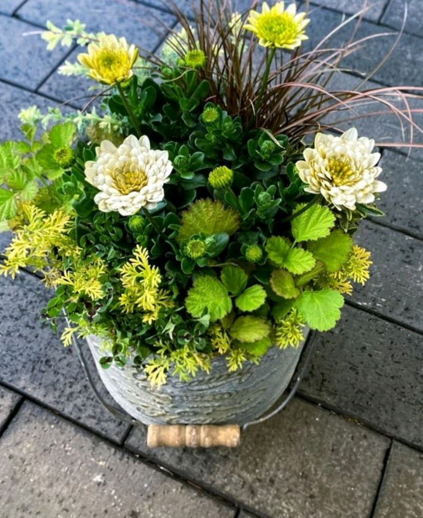 Combo Pot Design Plans