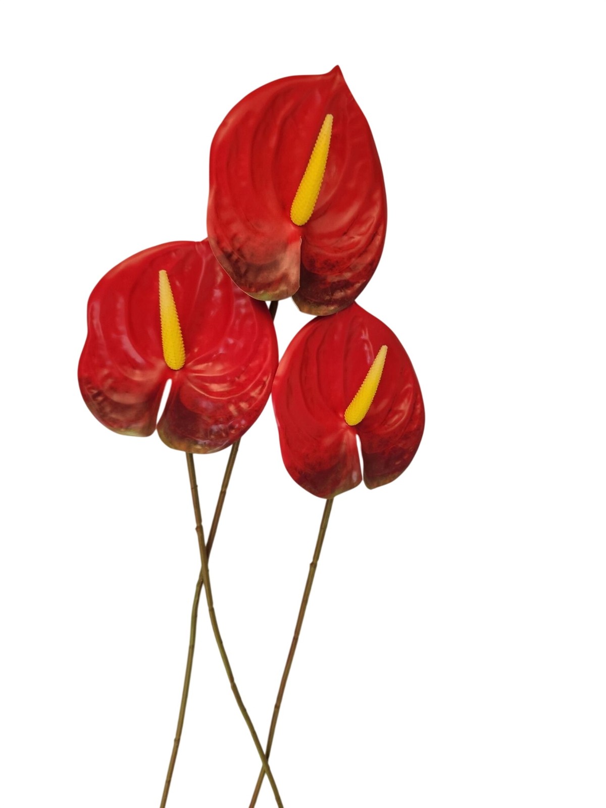 Red Artificial Anthurium Stems 23 Inch Faux Tropical Flowers Modern Home Decor
