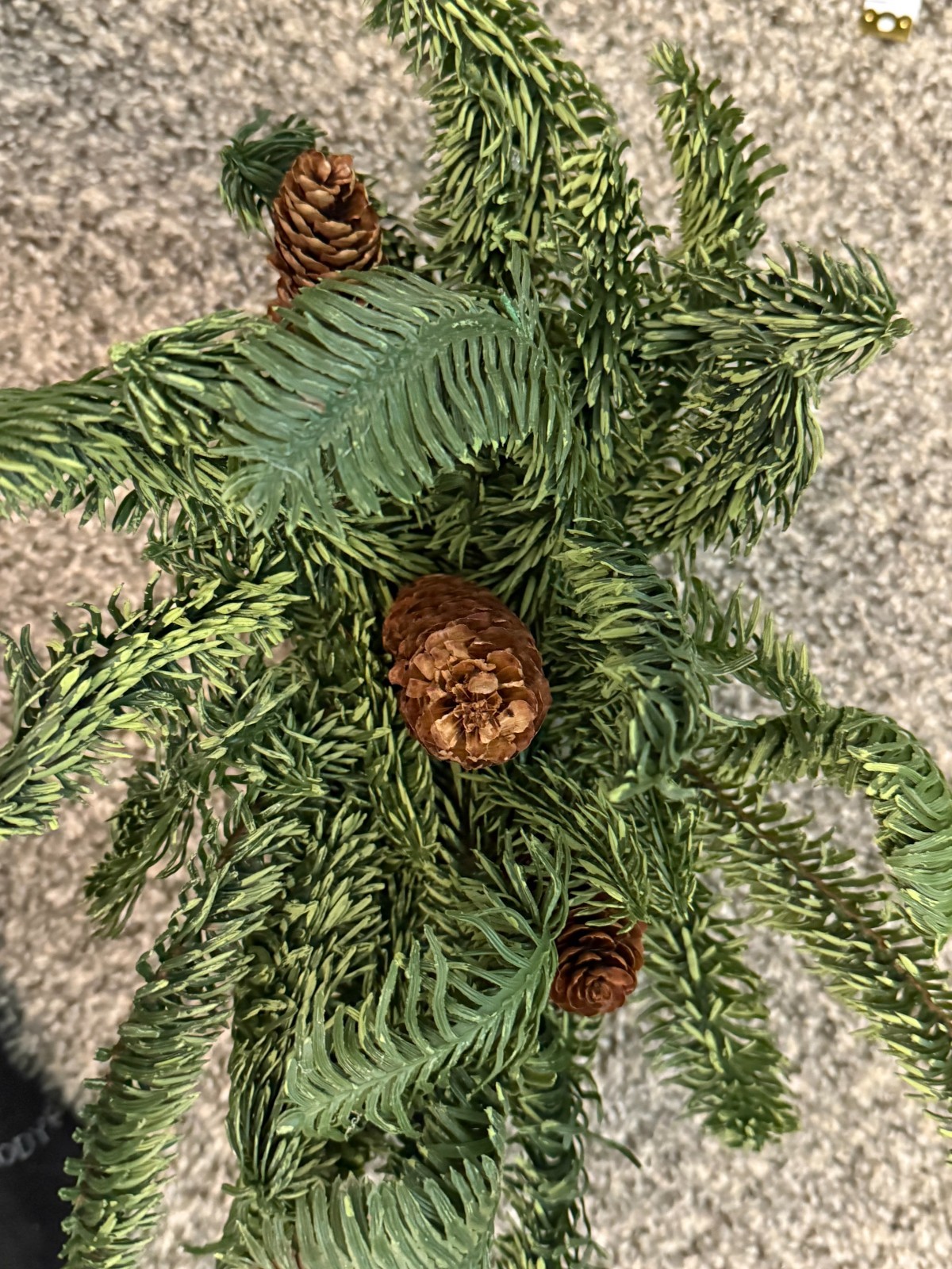 Decoration Fern and Pinecone in wooden planter box (7in by 4in by 3in deep)