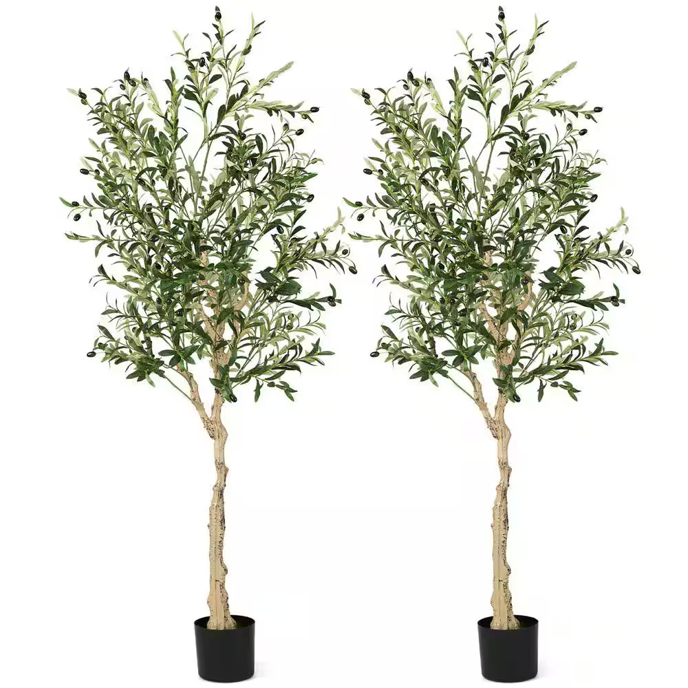 6 Ft. Tall Artificial Olive Tree Faux Olive Plants for Indoor and Outdoor (2- Pa
