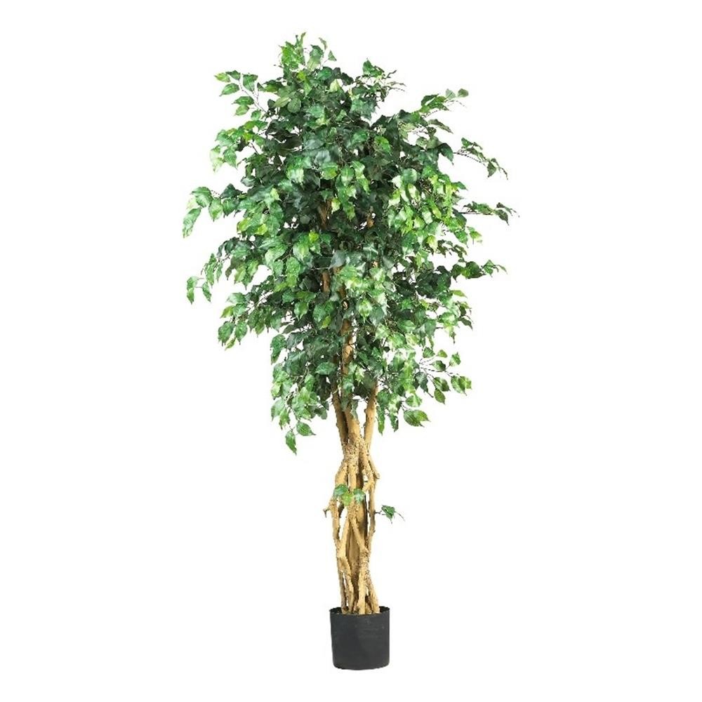 Pemberly Row 72″ Palace Style Ficus Silk Tree with 1596 Leaves in Green/Black