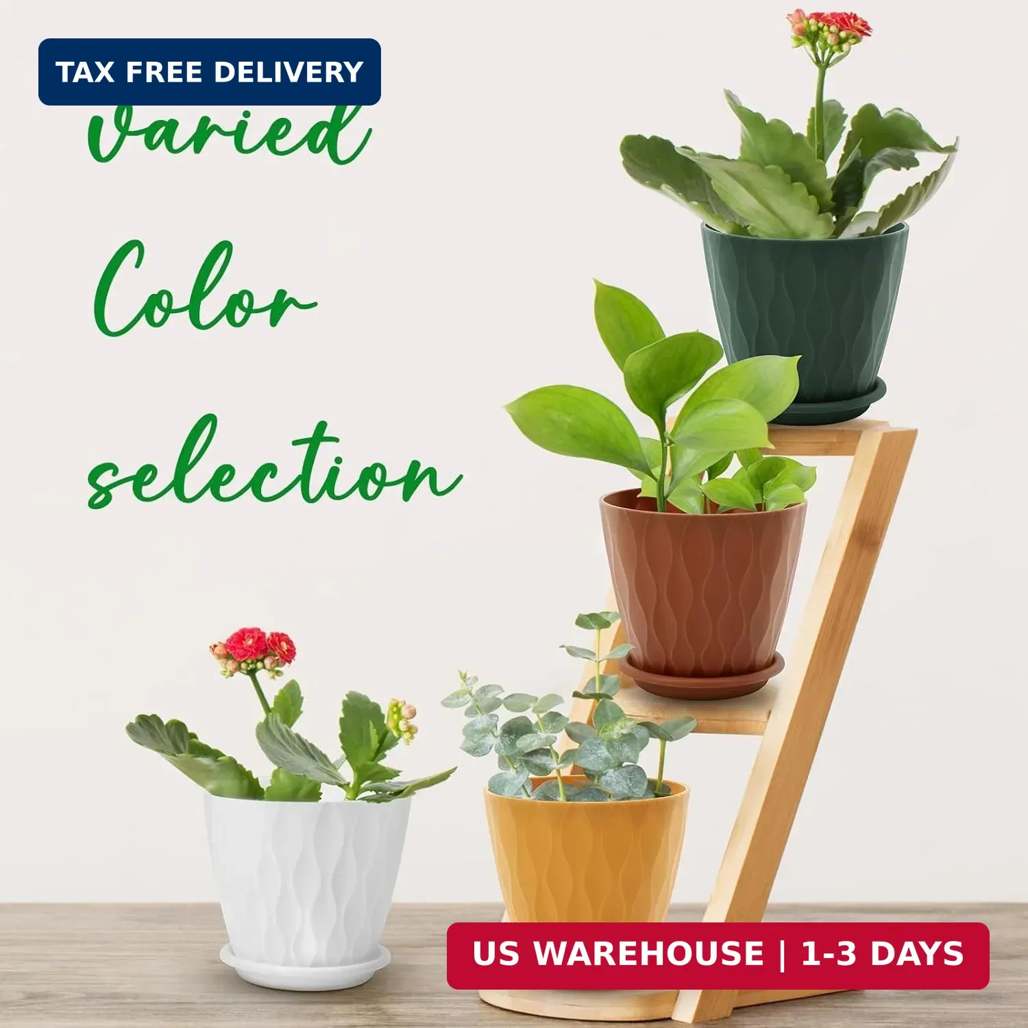 6 Inch Plant Pots 5 Pack Planters with Drainage Holes & Saucers