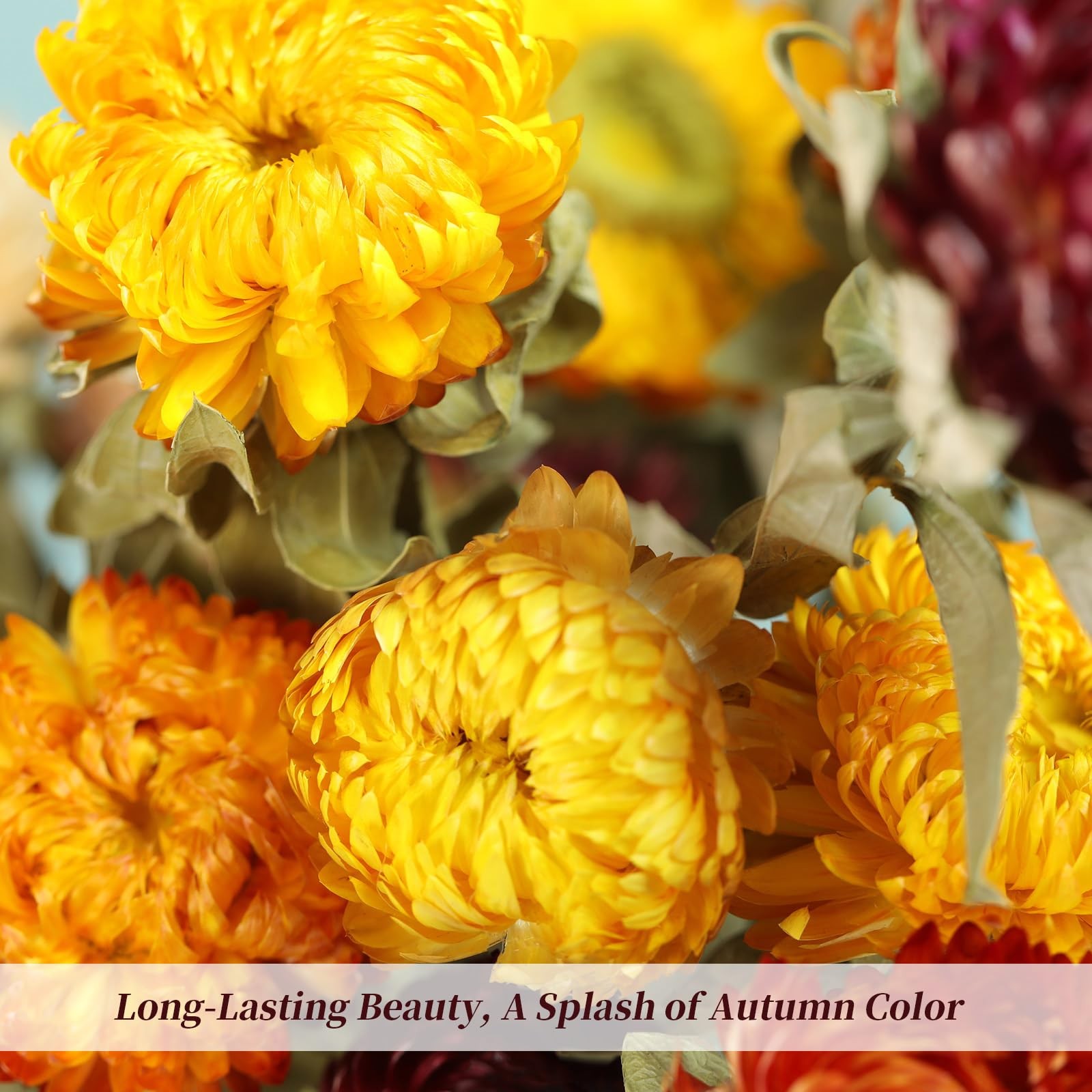 Natural Dried Daisy Flowers Bouquet 20 PCS Multicolor Decor DIY Craft Fall