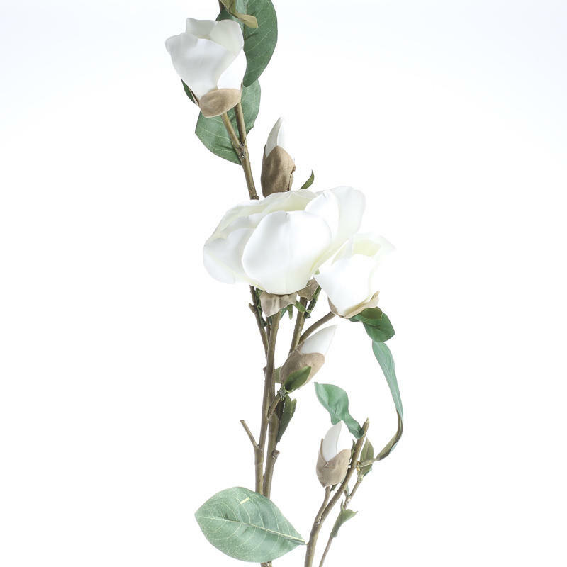 Pair of Soft Creamy White Open and Closed Rose Stems