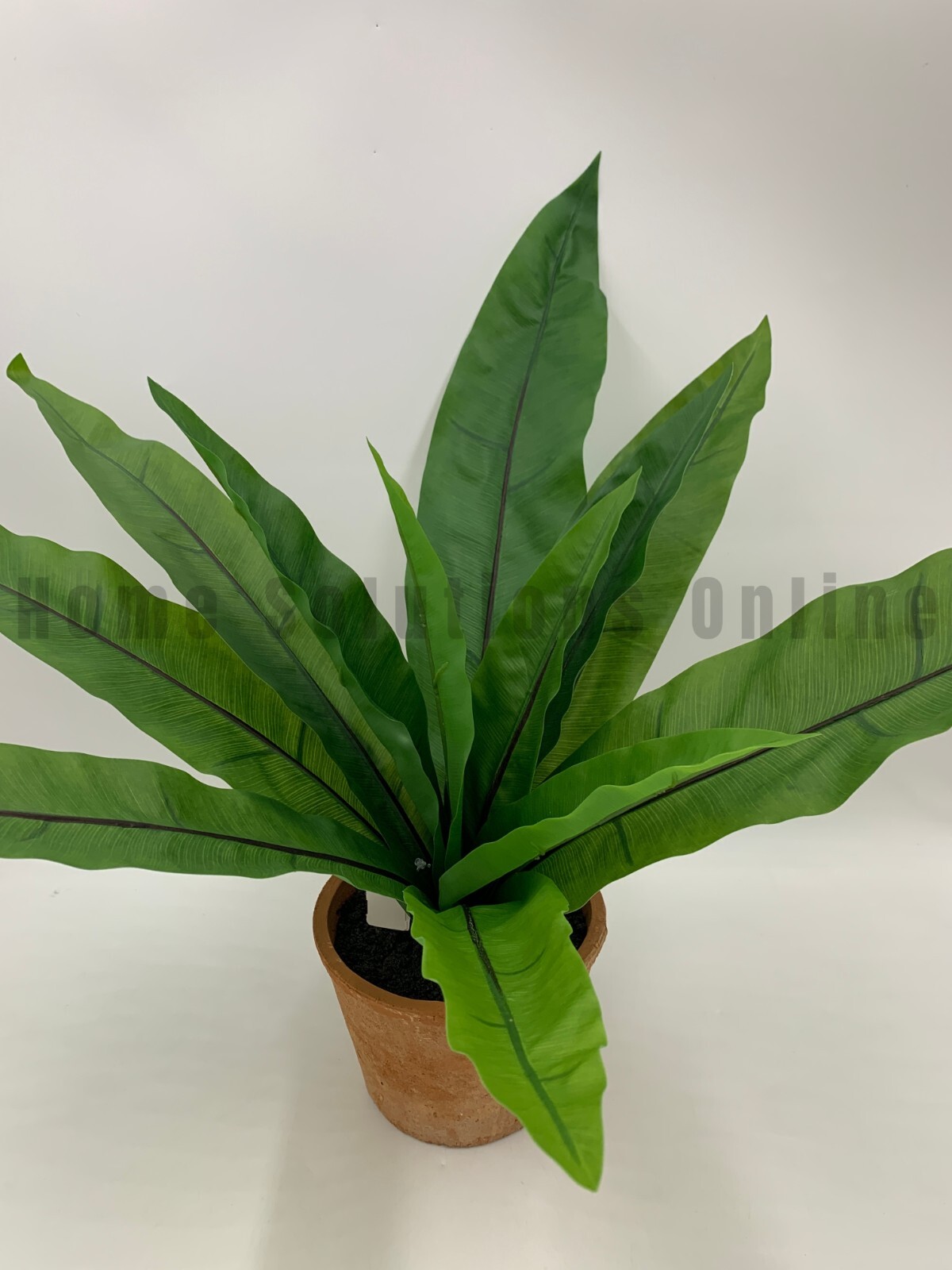 Pottery Barn Potted Terracotta Faux Fern Birds Nest Plant Large 18.5″ h #W700