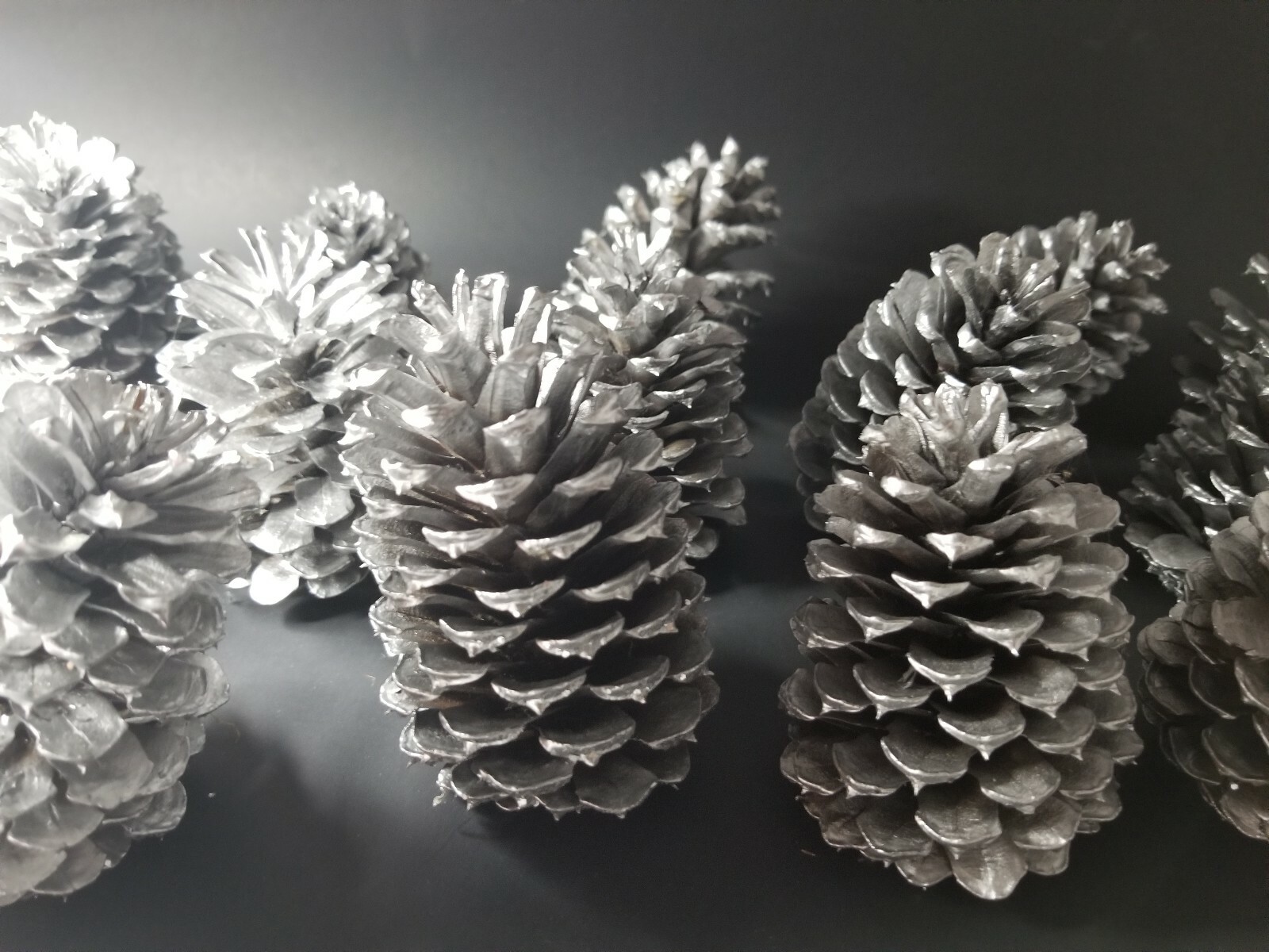 🎅15 Silver Pine Cones Hand Painted Natural Premium Ponderosa Cones