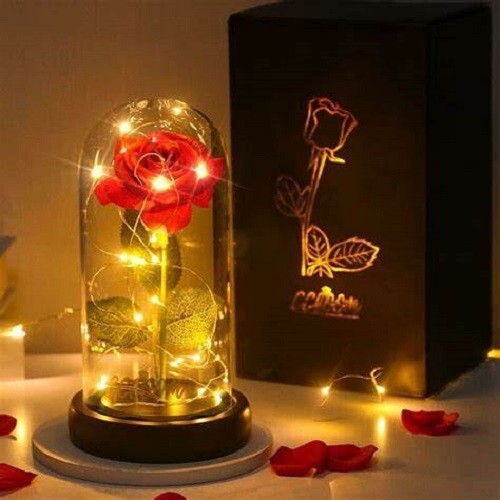 Great Easter Gift: Eternal Galaxy Rose Enchanted Forever Flower Gift Red