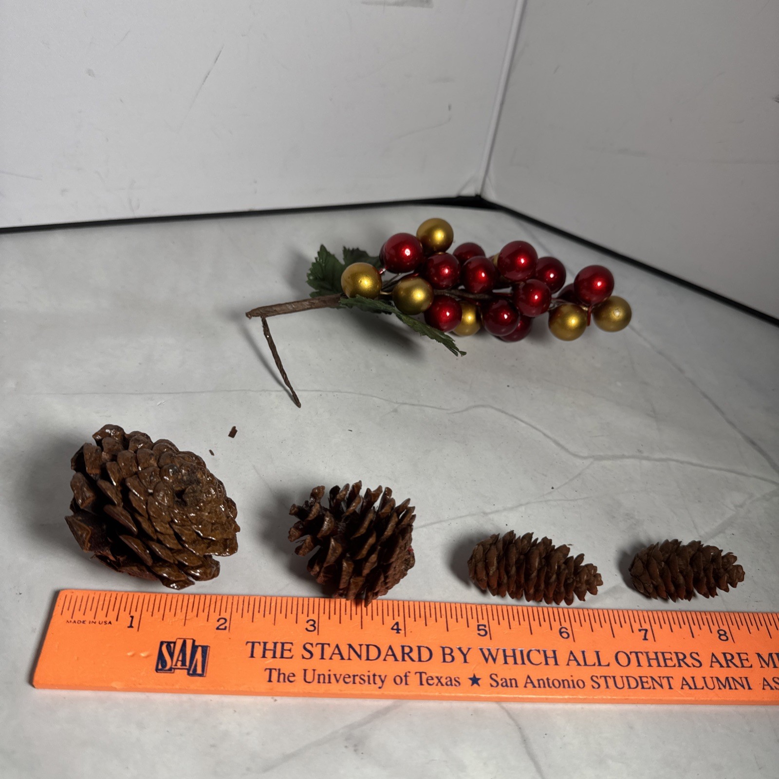 Red And Gold Holly Berry Stem and 4 Pine Cones Individual.
