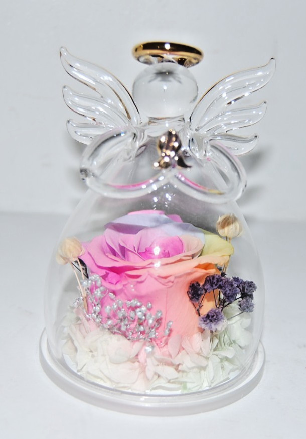 New Glass Angel Rose Gifts Preserved Rainbow Rose Flower in Glass Love Forever