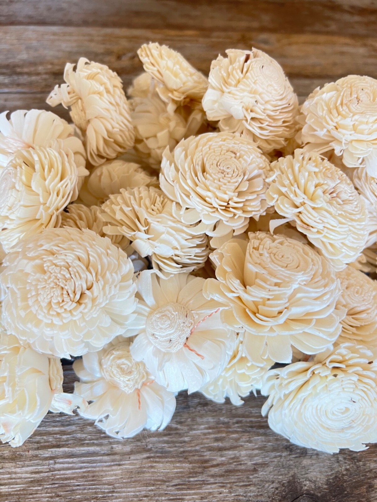 Chorki Belly Sola Wood Flowers – Set of 50 – Craft Flowers