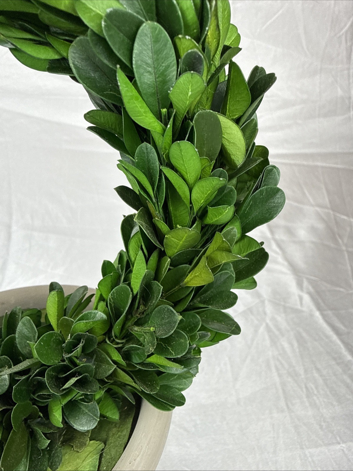 Artificial 12″ Green Boxwood Topiary Circular Wreath In Rustic Grey Ceramic Pot