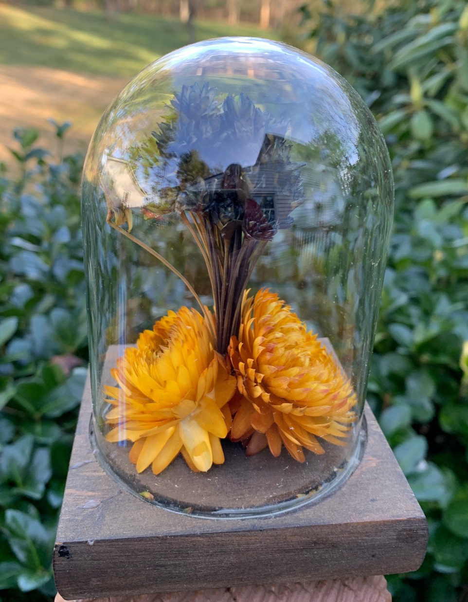 VTG Leonard Creations California Dried Flower Glass Dome on Wood Base w/ Sticker