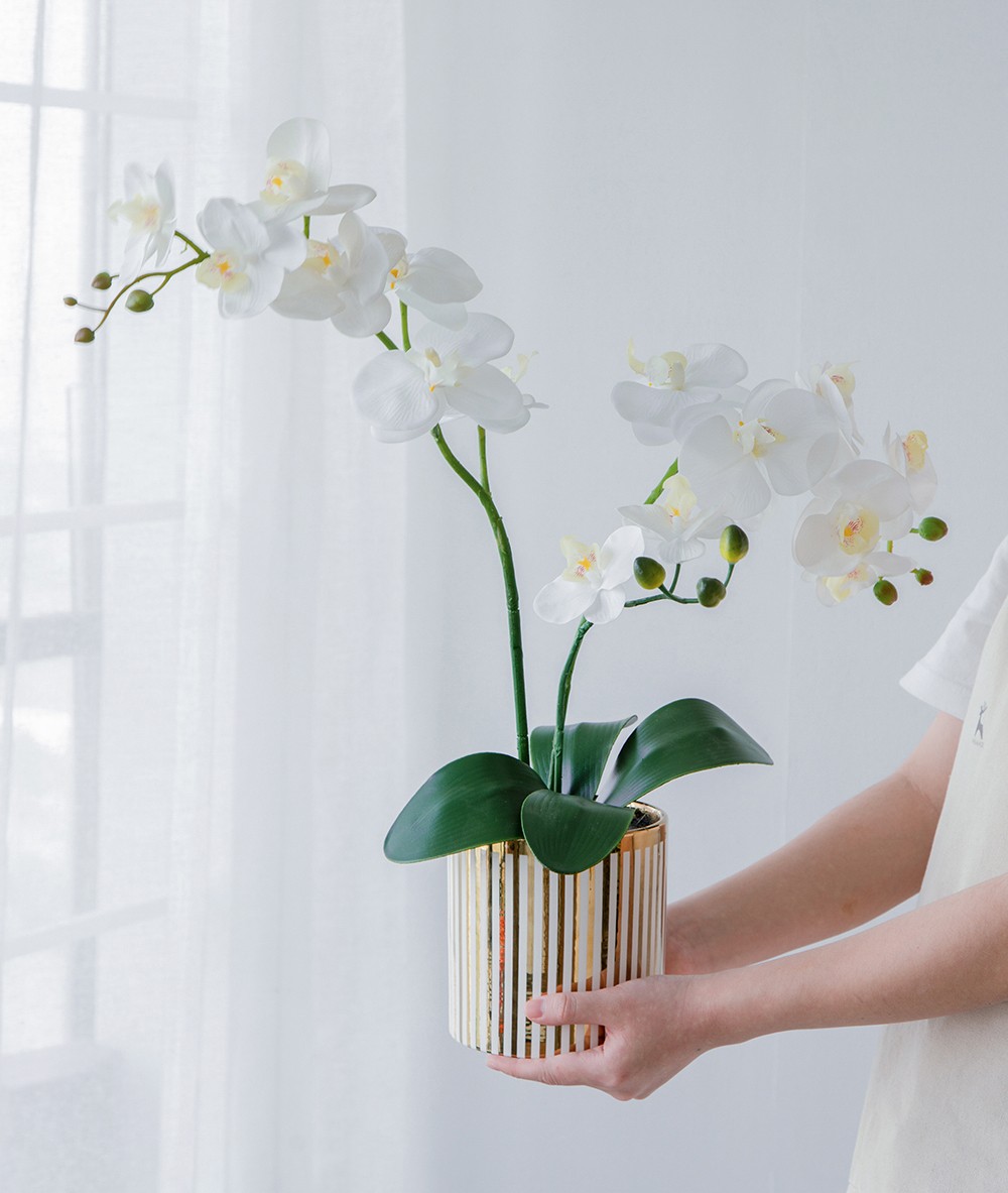Artificial White Orchid Plant in Gold Striped Pot 20.5″H