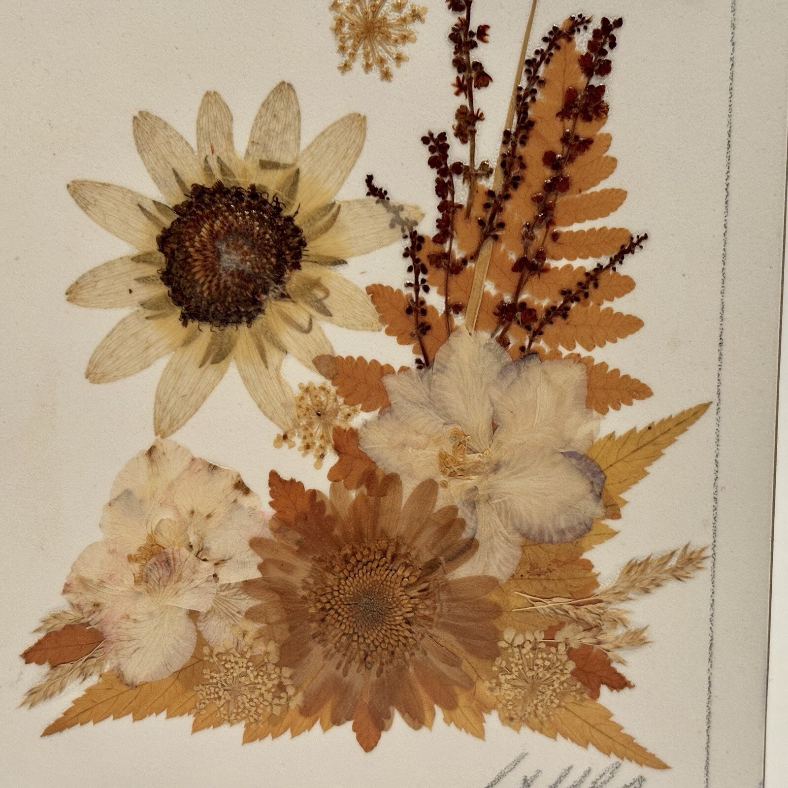 Country Girl Creations Naturally Preserved Flowers Leaves Wall Art Canada 6.5″