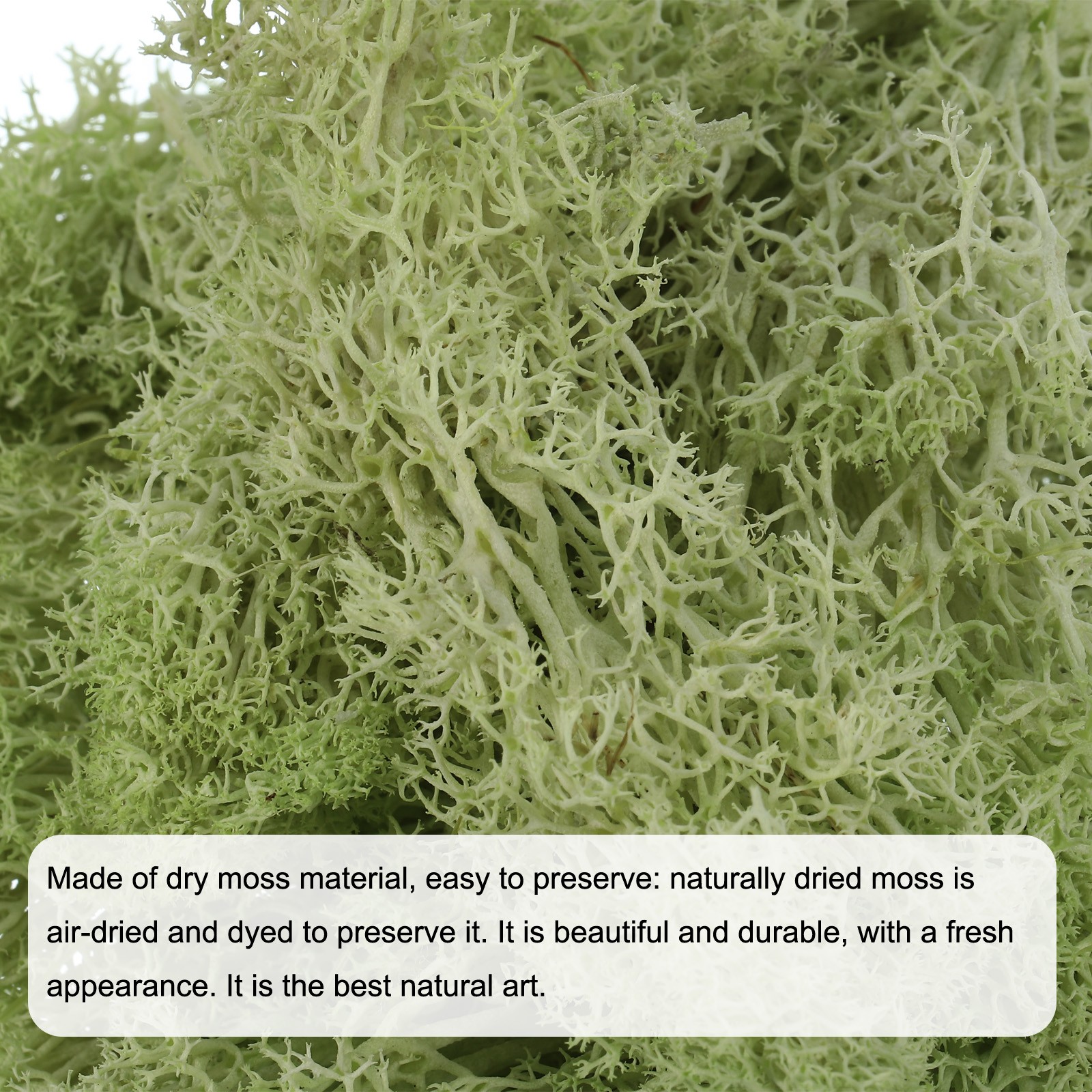 0.35 OZ Moss Preserved Moss Artificial Moss for Craft Floral Chartreuse