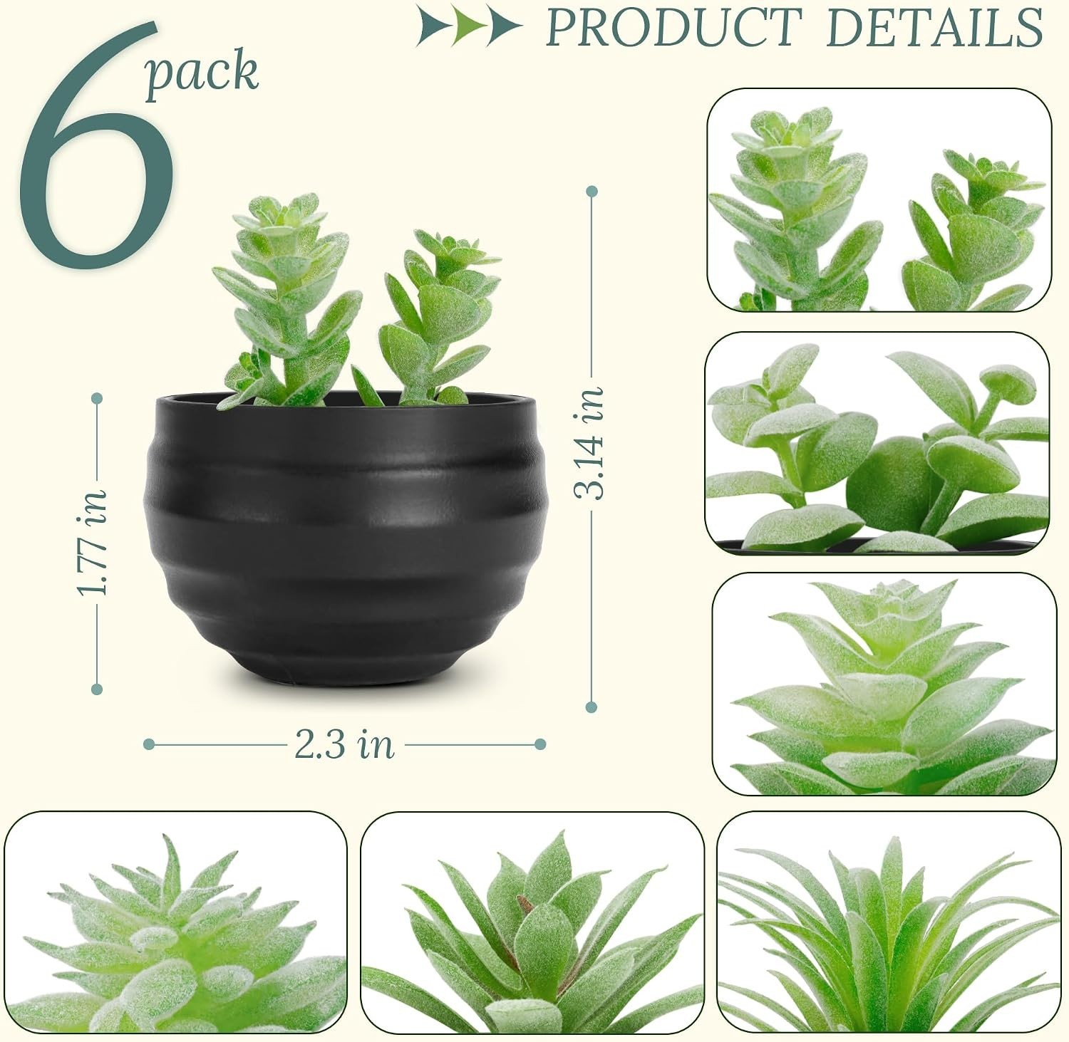 6 Pack Fake Succulents Plants in Black Pots for Halloween Decor | Varied real…