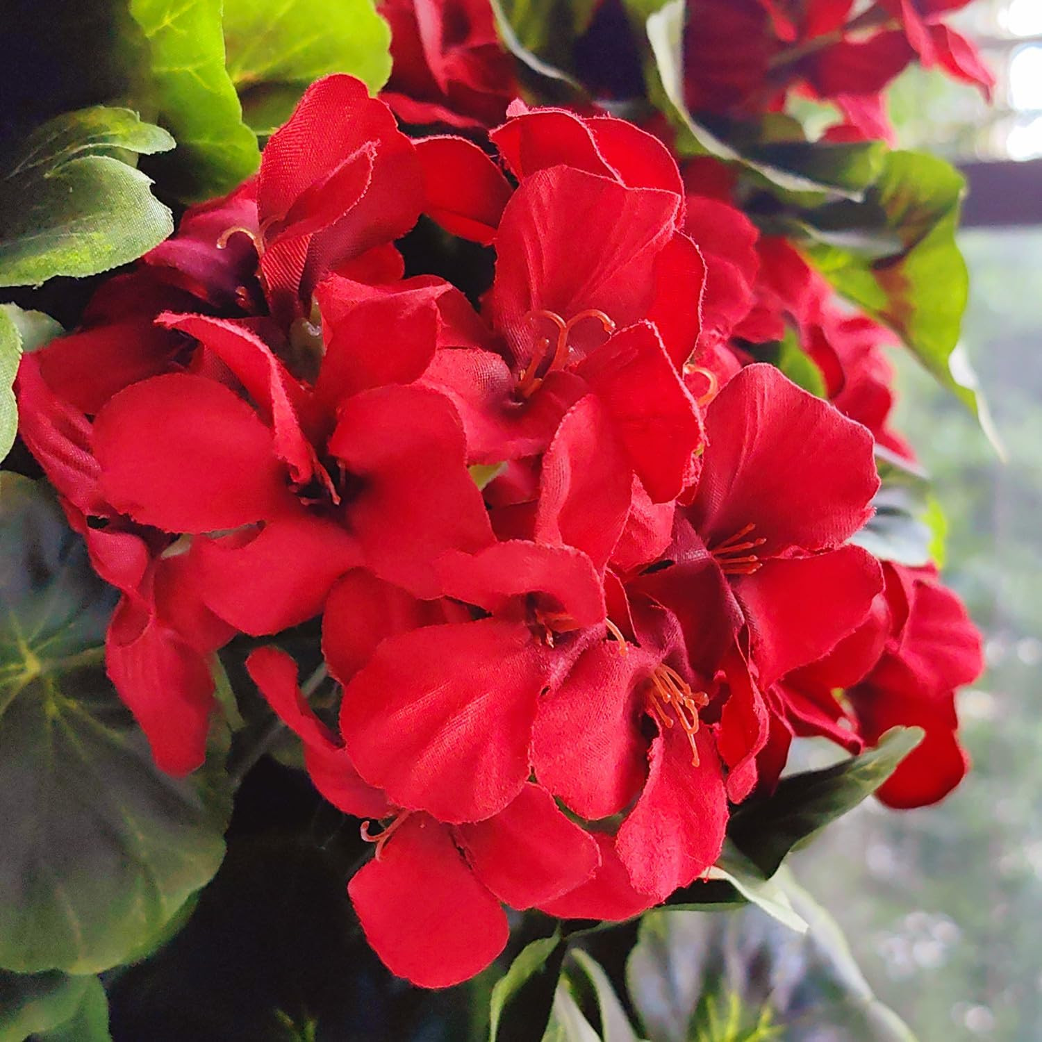 Pack of 4 Red Silk Geraniums – Lifelike Flower Bundles for Home Decor