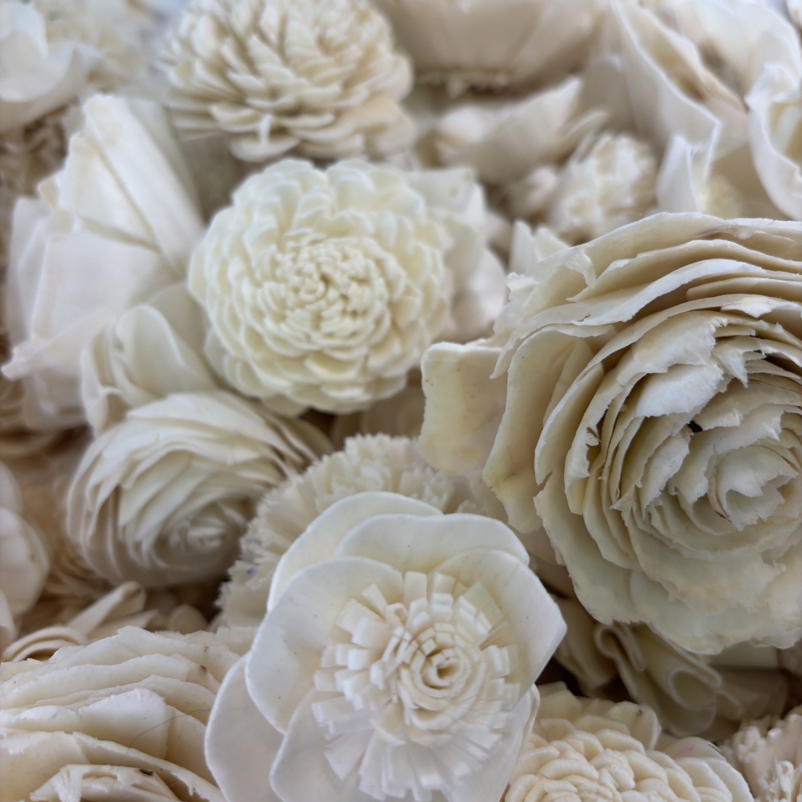 Sola Wood Flowers Raw Random Assortment – Set of 165 Size 1″–3″, Raw, No Stem…