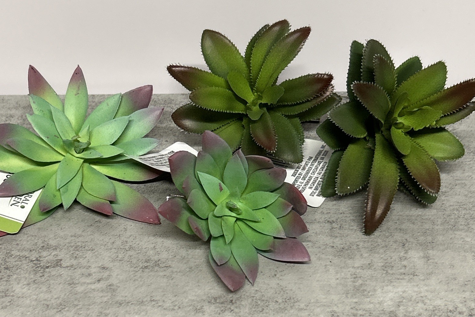 Succulent Picks Artificial Assorted Lot Of 16 Aloe Fern Flowers Blue Purple