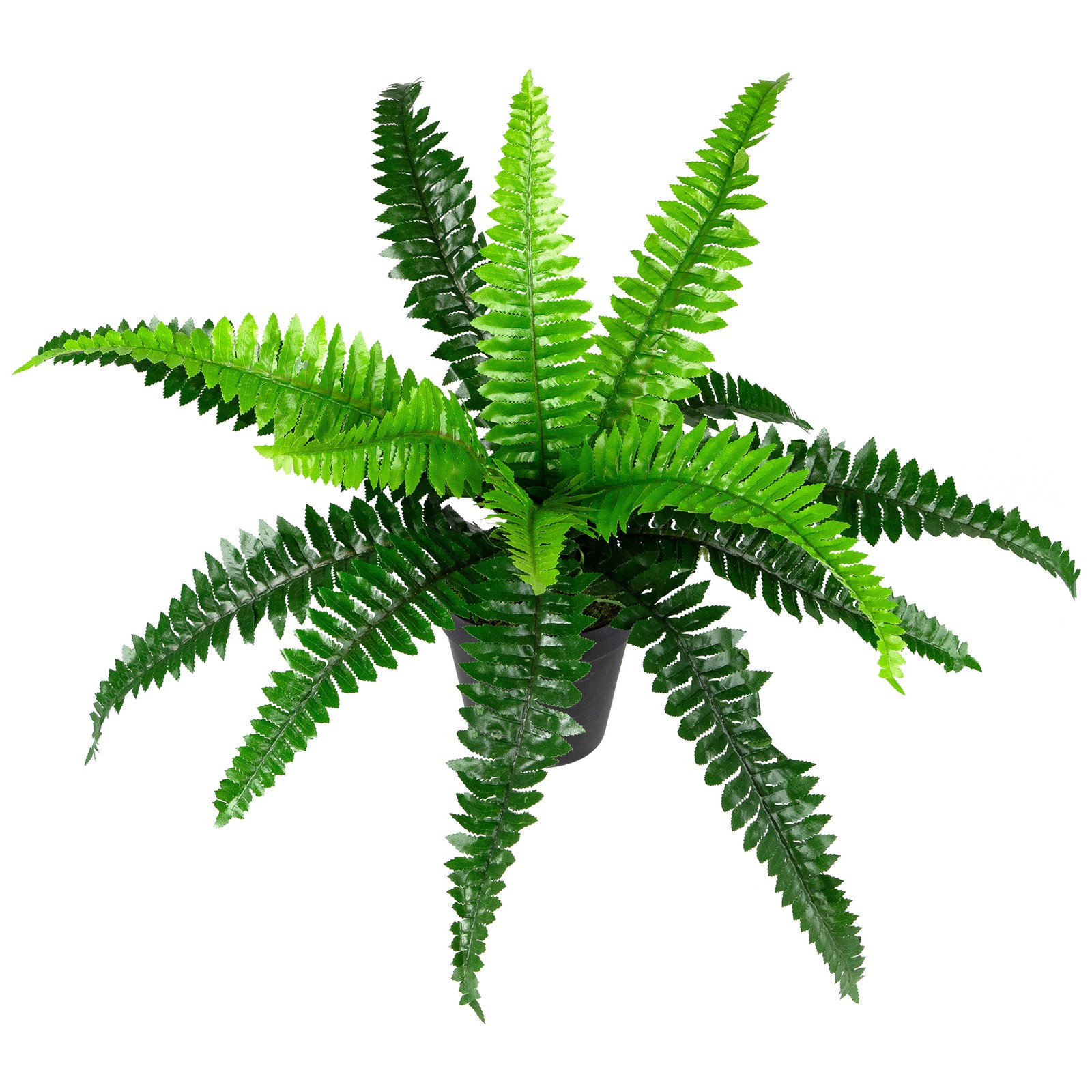 Northlight 15.75″ Potted Artificial Long Green Boston Fern Plant