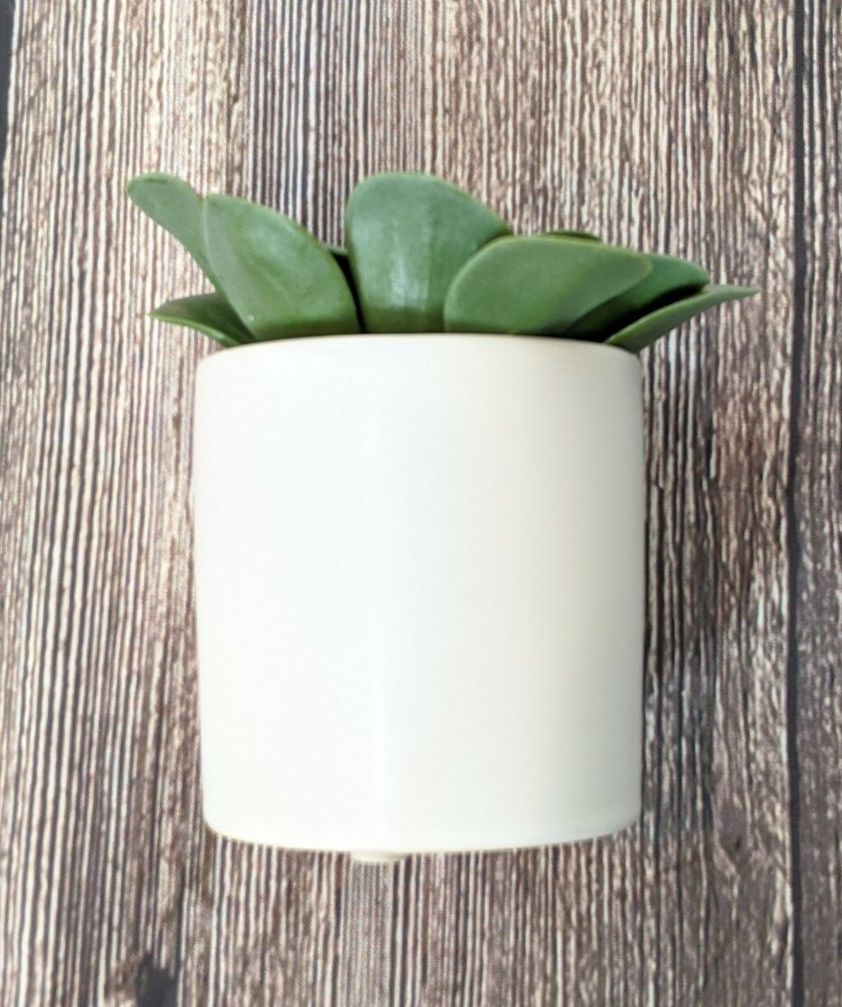 Green Succulent In White Pot 4.5″ x 4″ Project 62 Target Artificial Dudleya