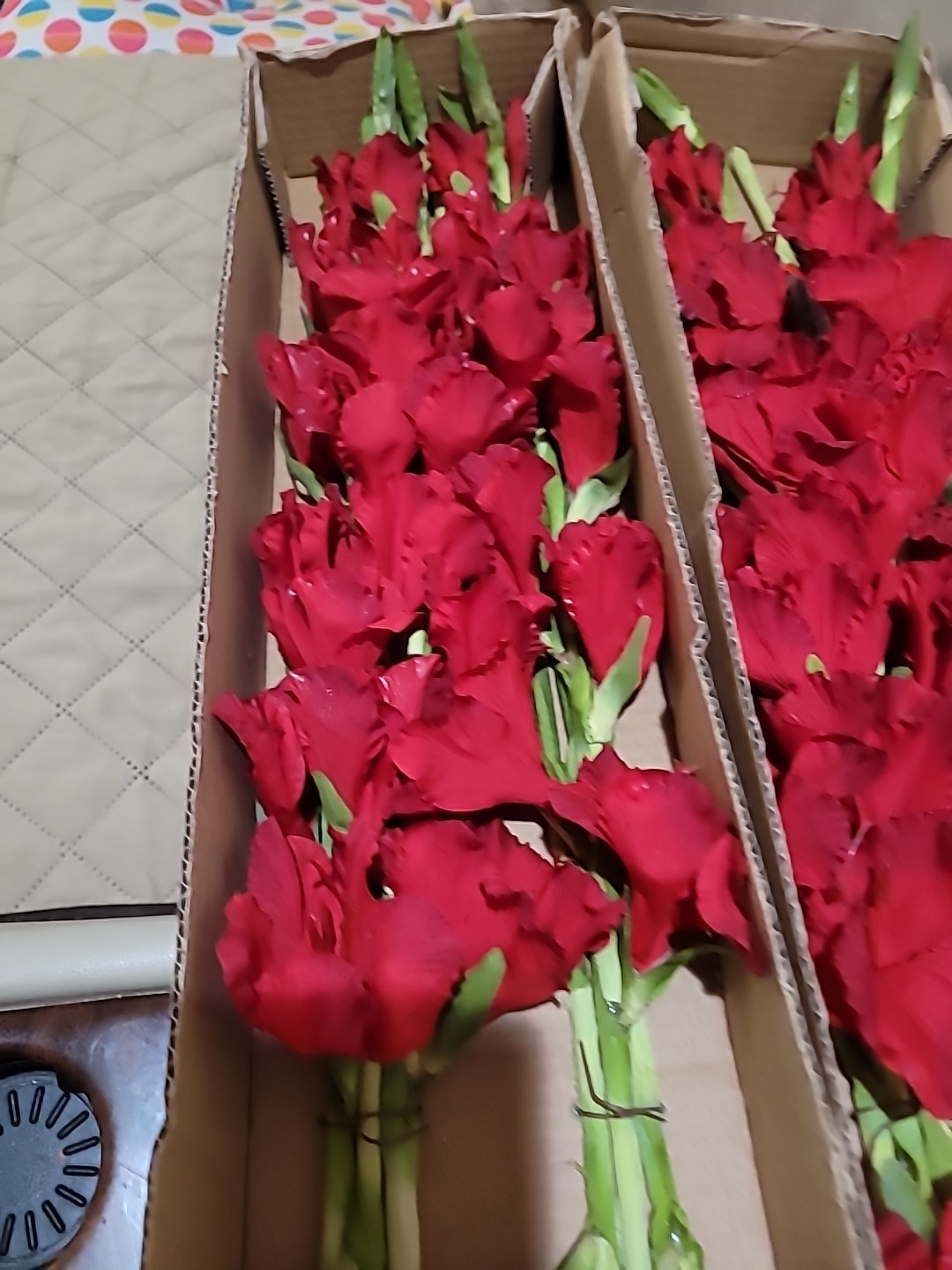 6 Pk Artificial Red Gladiolus Flowers Stem approx 36 inch long By Better Homes