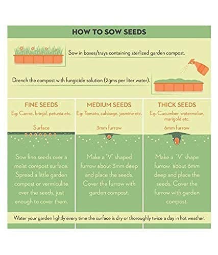 Aero Seeds 40 Varieties Flower Seeds Combo Pack Mixed Garden Seeds