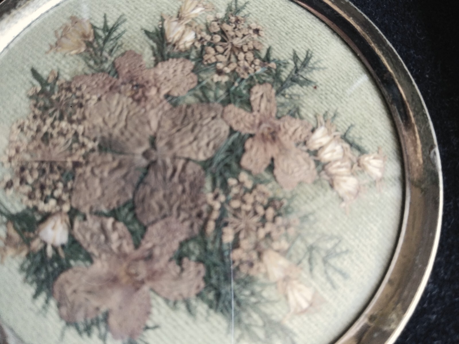 Miniature Hopkins Designs framed Real Pressed Virginia Flowers Velvet Vintage