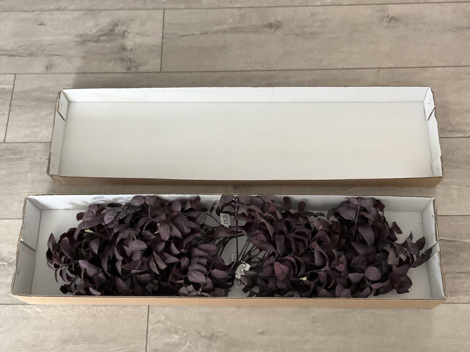 ndi “Herb Basil” Lot Of 12 Burgundy Colored 14” Floral Picks. Orig. $155. NEW.