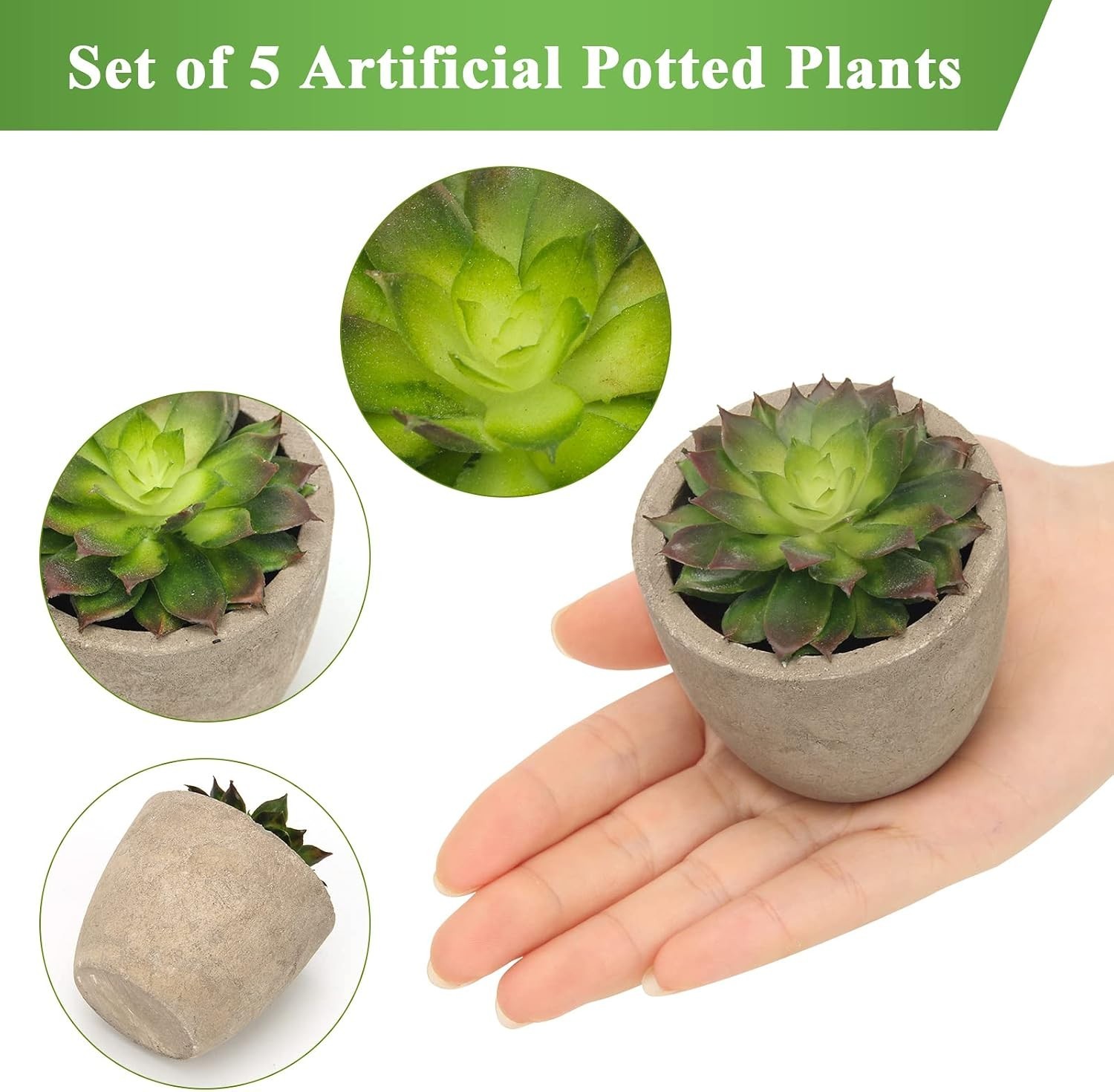 Lifelike Artificial Cactus Plants in Pots – Set of 5 for Indoor Decoration