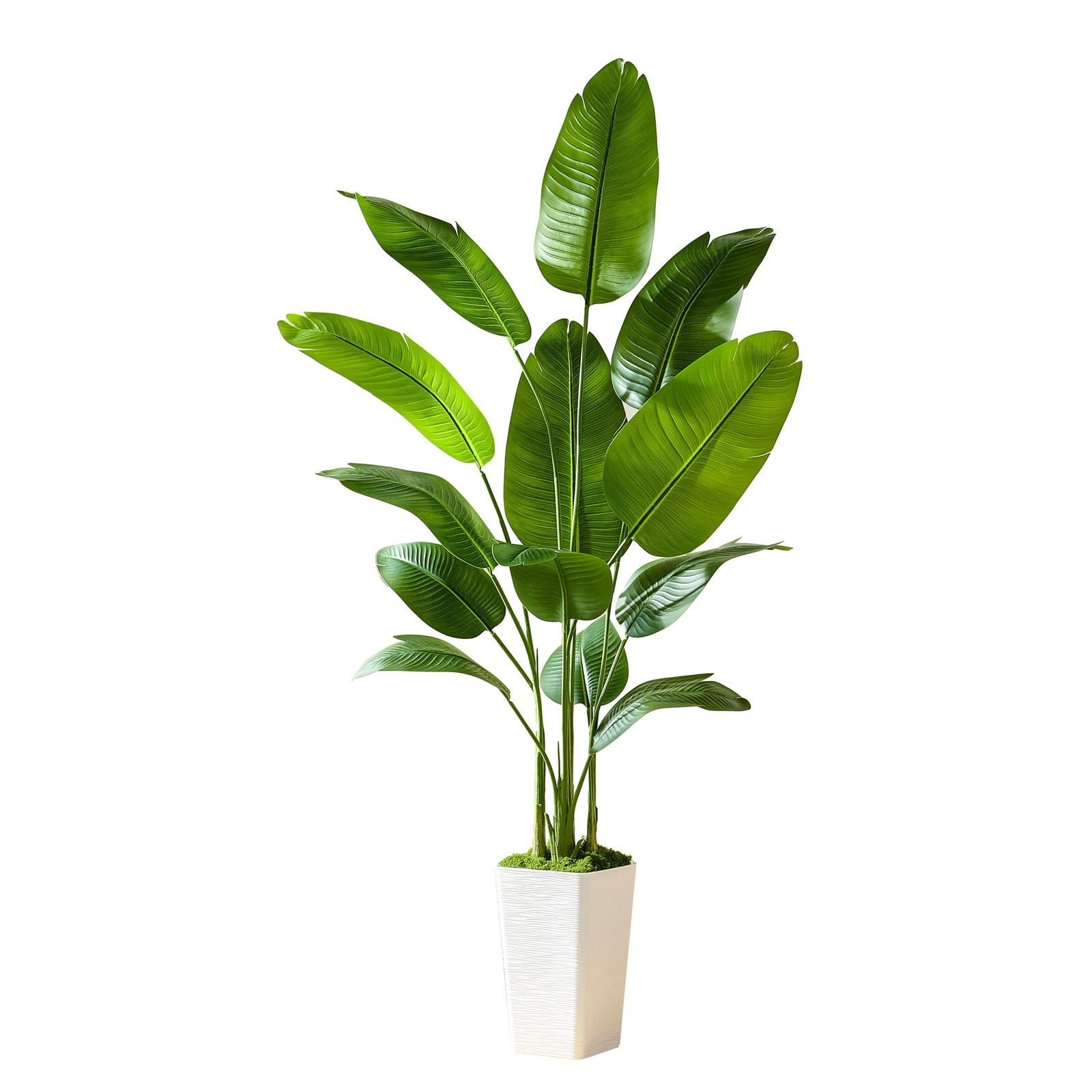 Bird of Paradise Artificial Plant, 6FT Faux Plants Indoor Banana Leaf Tree wi…