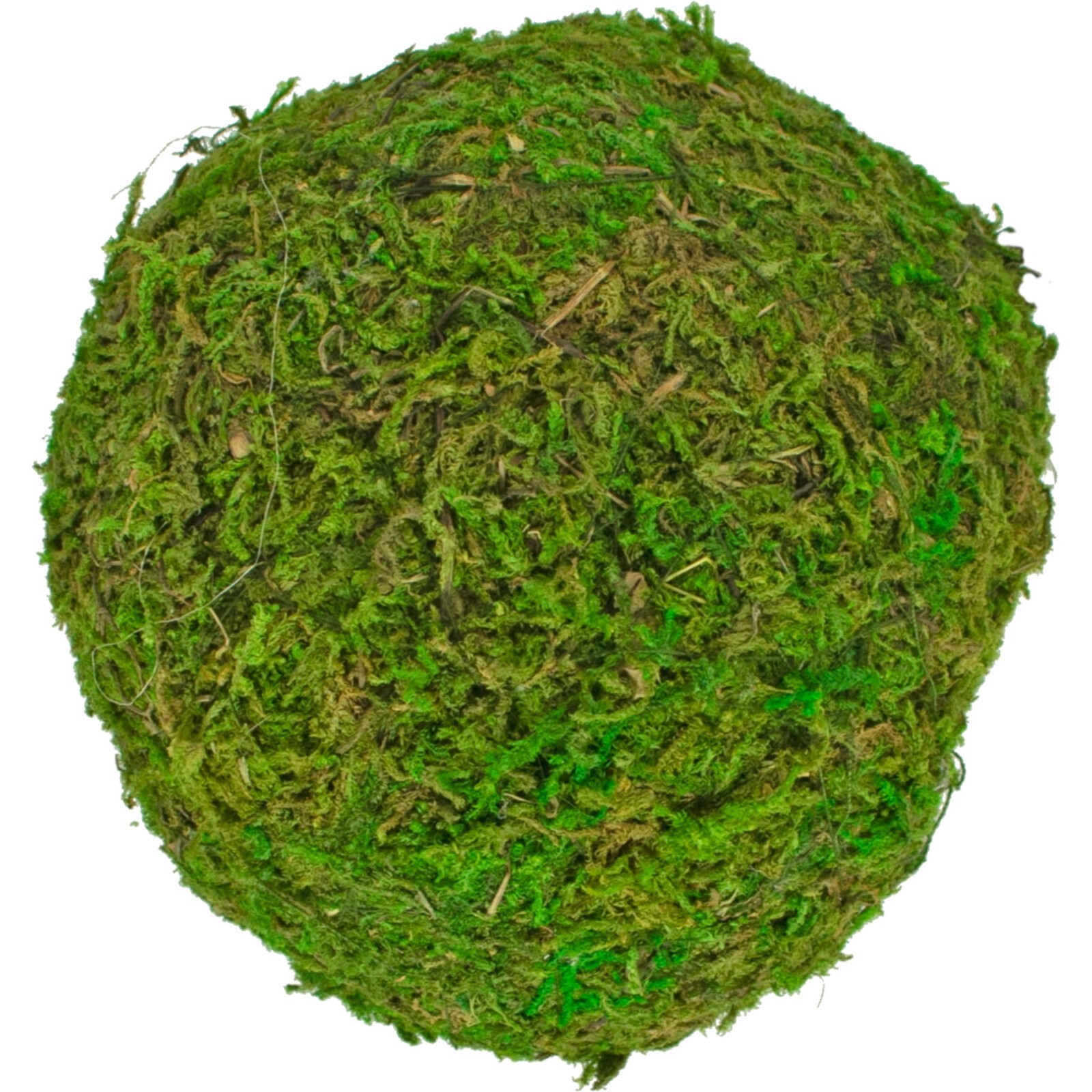 Decorative Moss Balls, Real Natural Home Decor, Accents, Centerpiece Bundle of 8