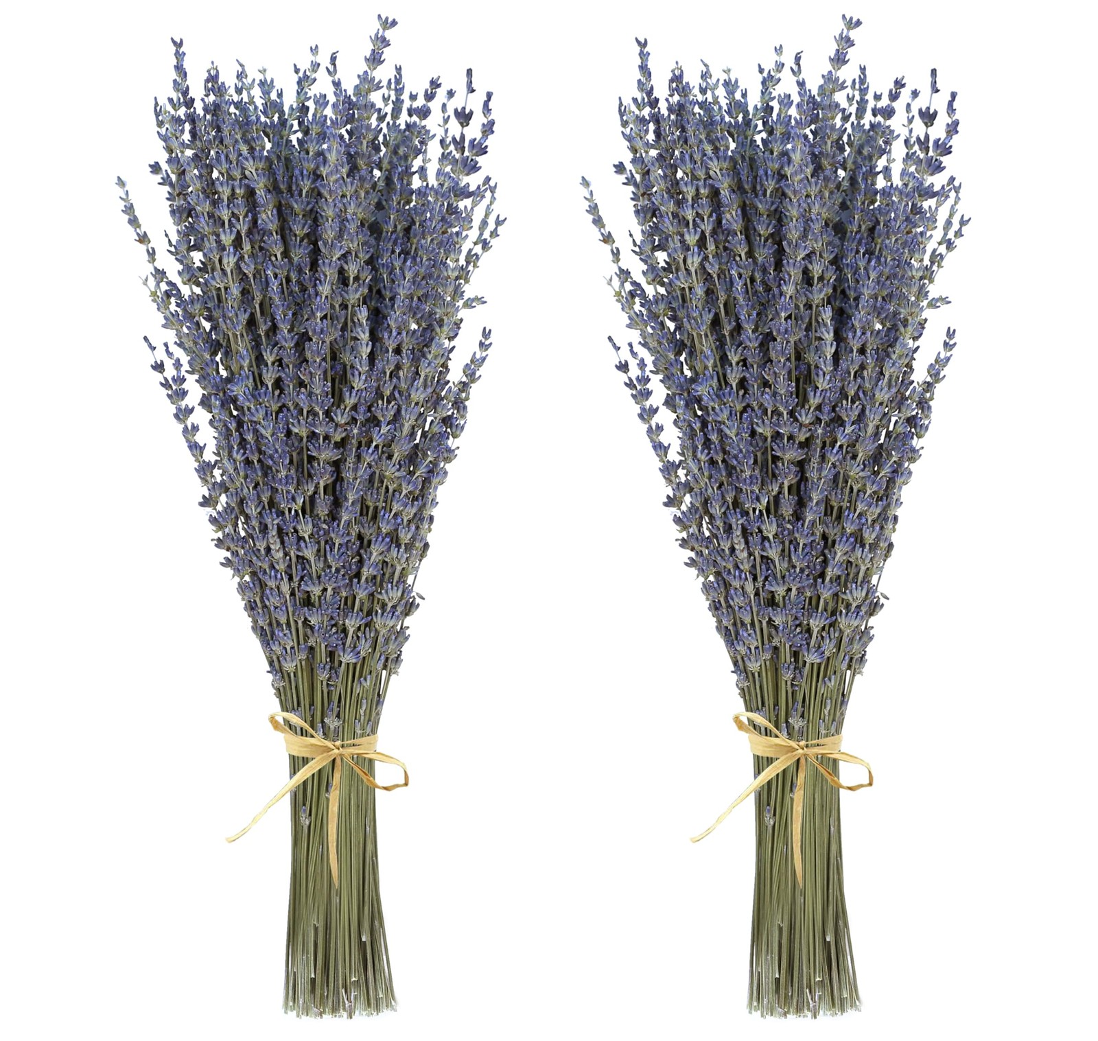 Dried Lavender Flowers 2 Bunches Natural Purple Bouquet 15-17 Inch 200-220 Stems