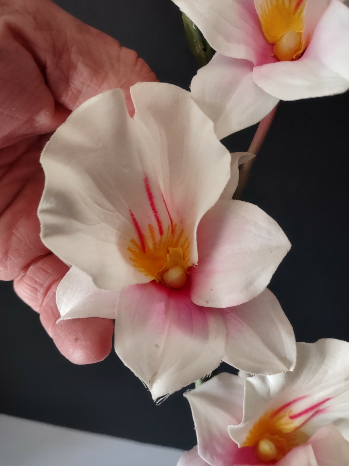 Artificial miltoniopsis orchid stem CREAM and PINK BLUSH