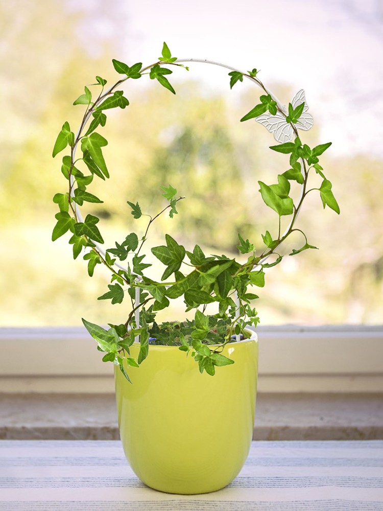 White Heart Plant Support 28x31cm