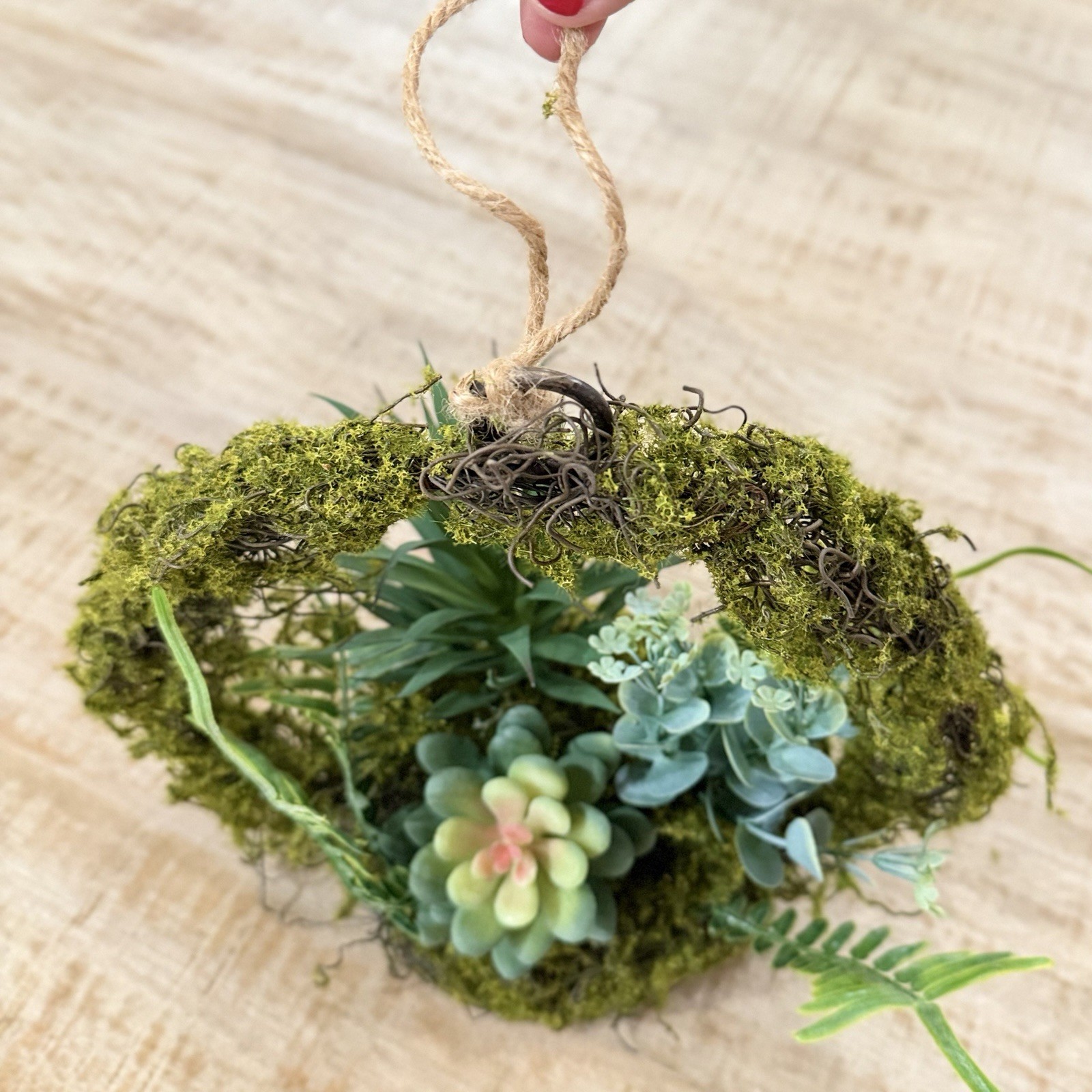 Artificial Succulent & Moss Hanging Wall Wreath Arrangement, Green Plastic 6×6″