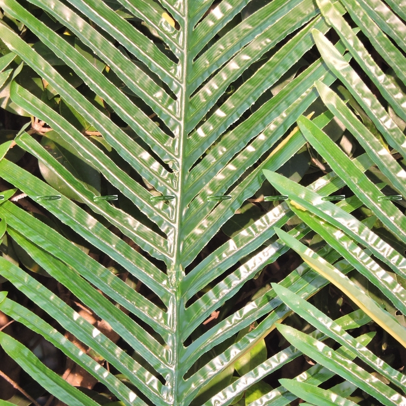 104cm 18pcs Patio Sago Artificial Palm Leaf Plant Tree Branch Frond Home Decor